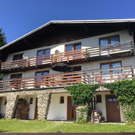 Apartman U Sjezdovky Železná Ruda Dış mekan fotoğraf