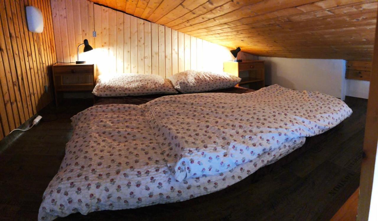Apartman U Sjezdovky Železná Ruda Dış mekan fotoğraf
