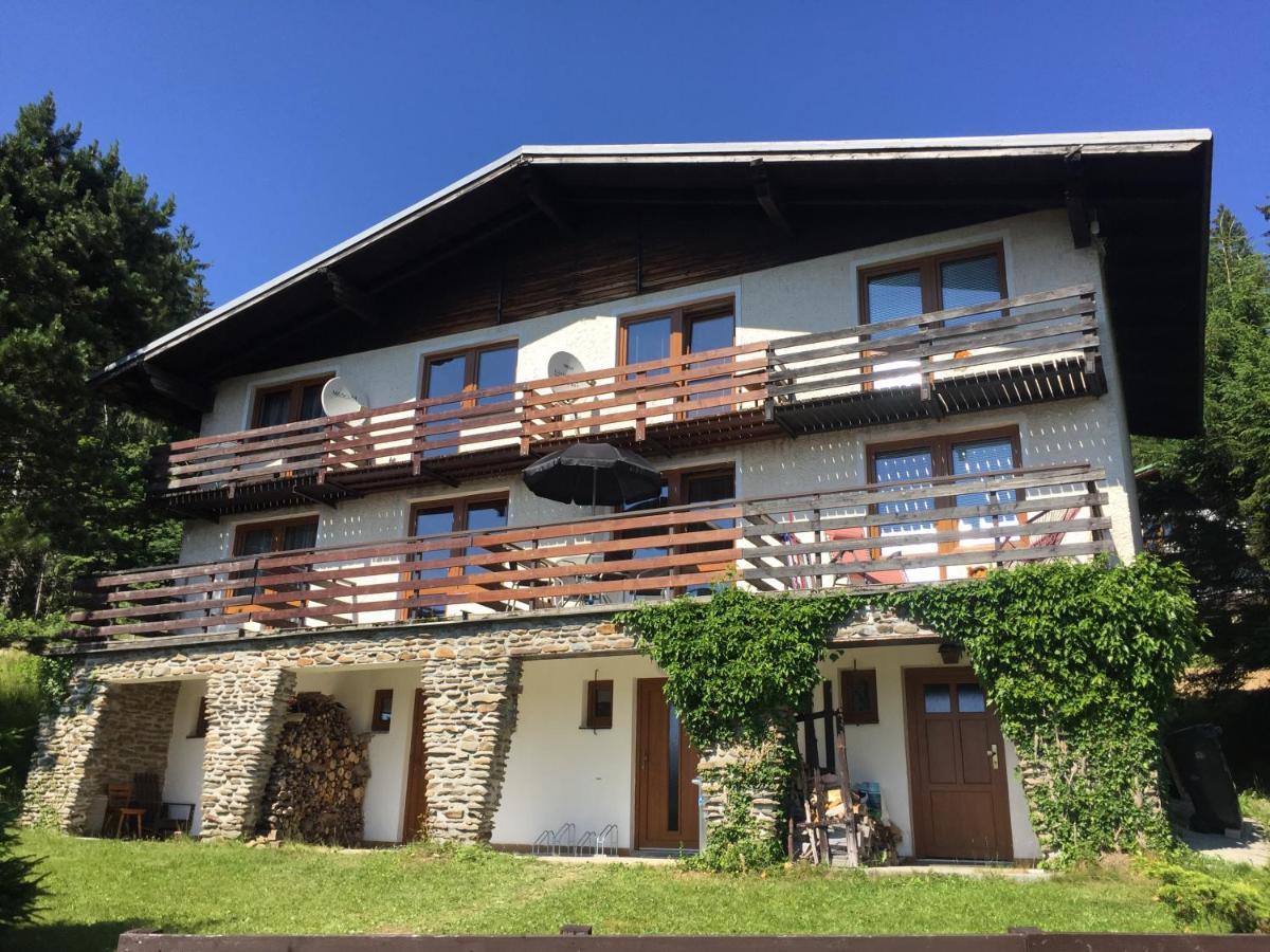 Apartman U Sjezdovky Železná Ruda Dış mekan fotoğraf