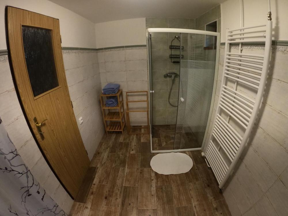 Apartman U Sjezdovky Železná Ruda Dış mekan fotoğraf