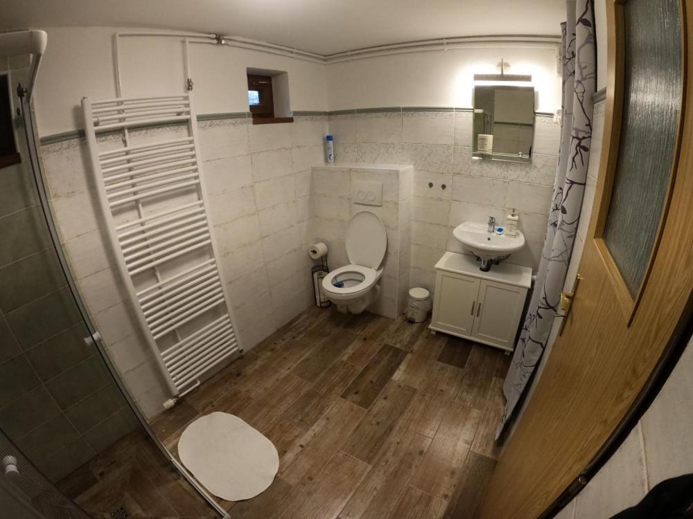 Apartman U Sjezdovky Železná Ruda Dış mekan fotoğraf