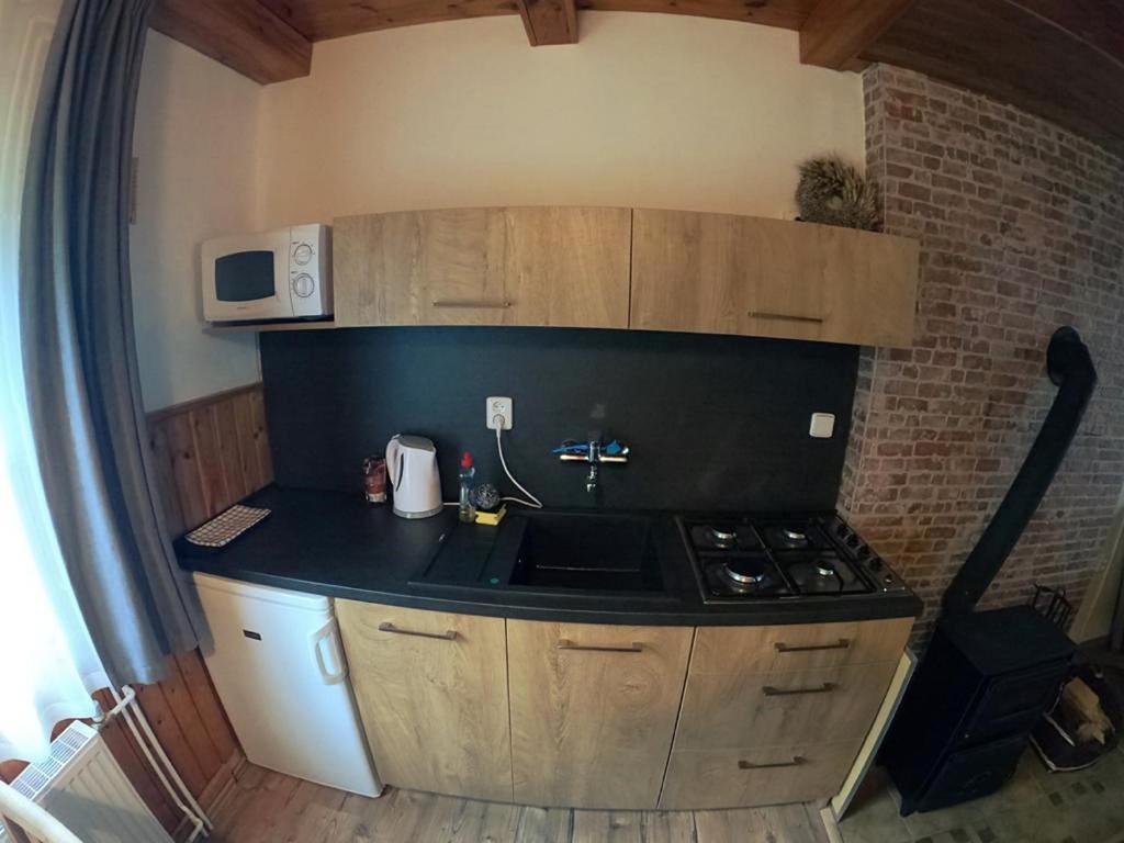 Apartman U Sjezdovky Železná Ruda Dış mekan fotoğraf